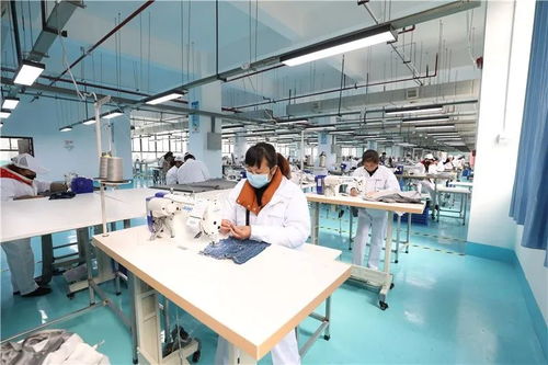 玉屏經(jīng)開(kāi)區(qū) 防疫生產(chǎn)兩手抓，網(wǎng)站建設(shè)助力企業(yè)穩(wěn)步發(fā)展